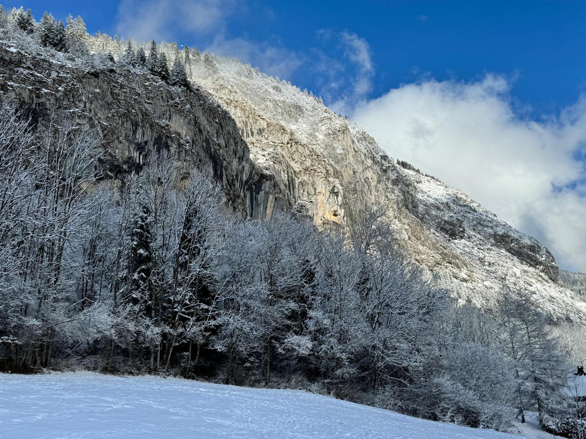 Appartement Cosy Proche Chatel Portes Du Soleil - Linge Inclus Abondance Bagian luar foto